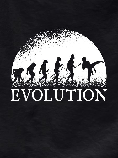 Karate Evolution