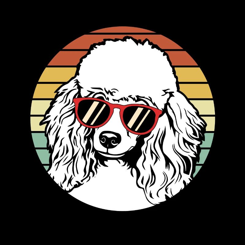 Caniche Caniche Nain Pudel Toy Caniche Petit chiot