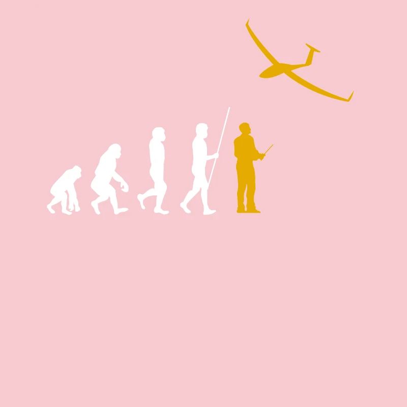 Evolution RC Glider Remote controlled model making