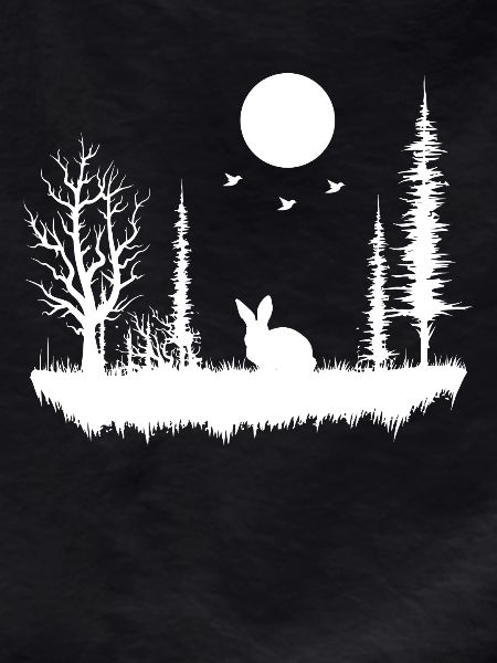 Forest Nature Wilderness
