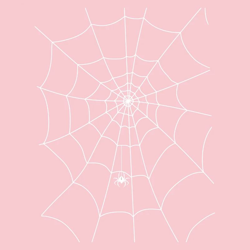 Spider web, spider, spider in the web