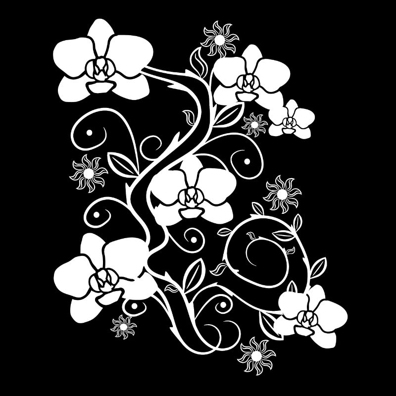 Blanc d’orchidée, orchidées fleurs, ornement floral