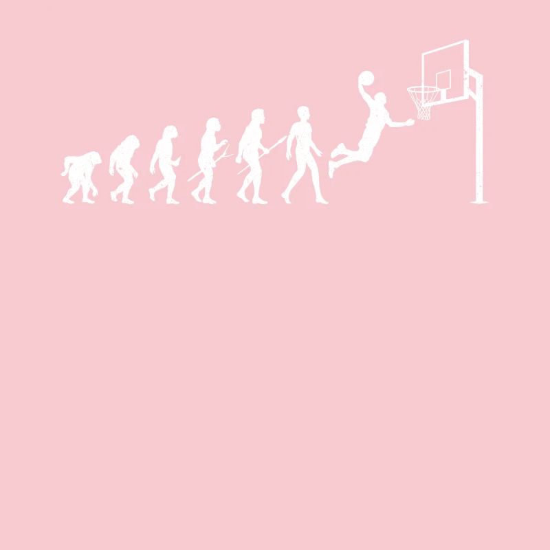Basketball Evolution