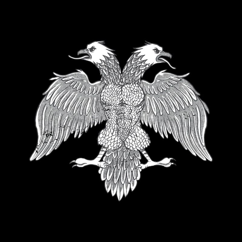 Strong Albanian Eagle