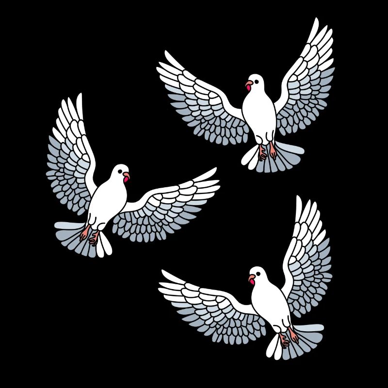 Taube Tauben Vogelabbildung Vogel Vögel