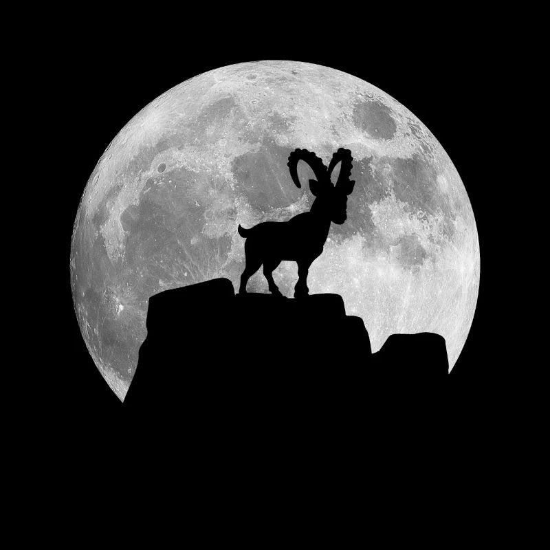 Lune Capricorne