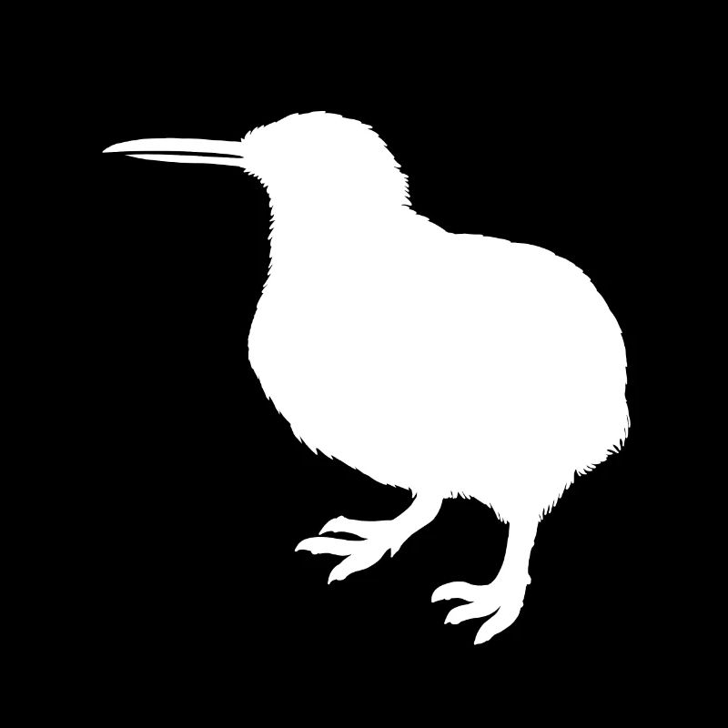 kiwi-bird kiwi bird