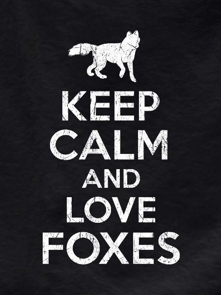 Fox saying Keep calm