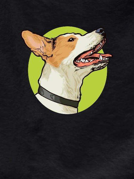 Drawing - Jack Russell
