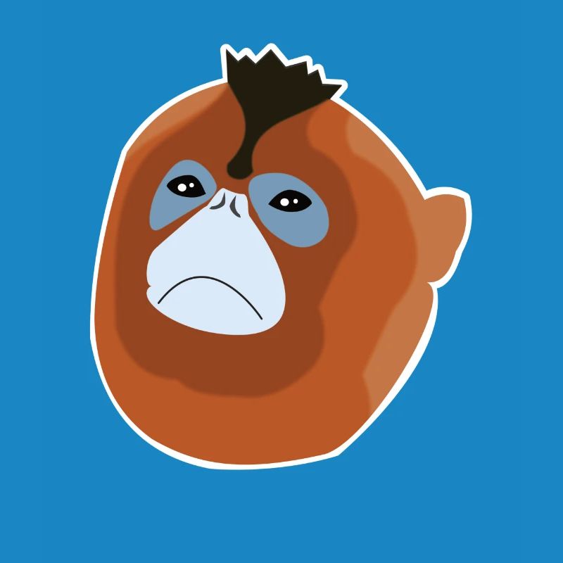 Stump-nosed monkey monkey monkey species