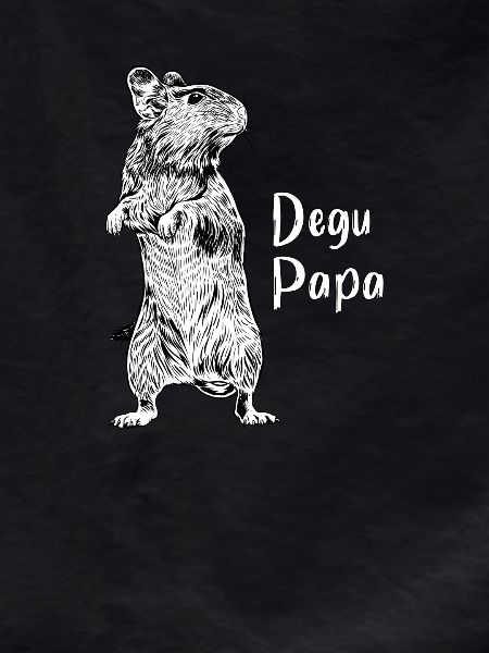Rodent lovers - Degu Papa