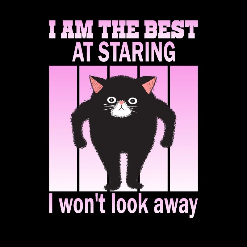 Starrende Katze - Katzen Starren