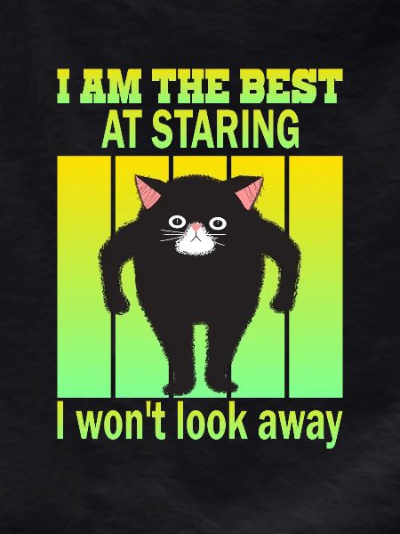 Staring Cat - Cats Staring