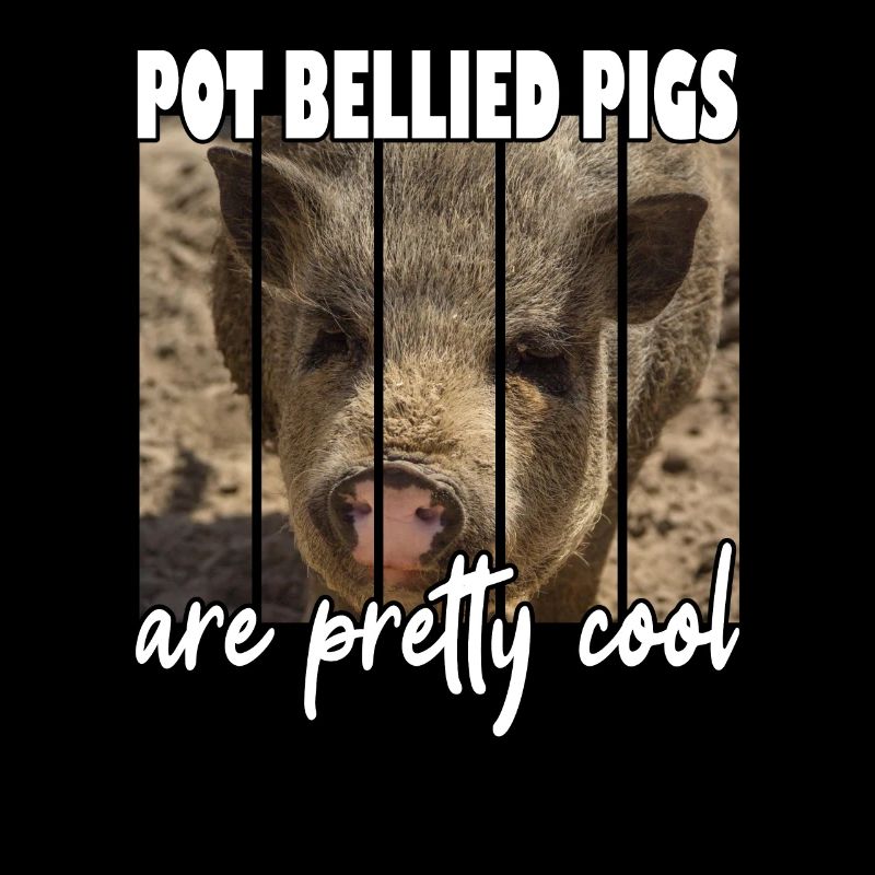 Les cochons à ventre de pot sont plutôt cool