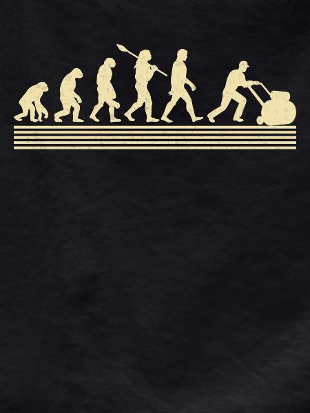 Landscape designer evolution