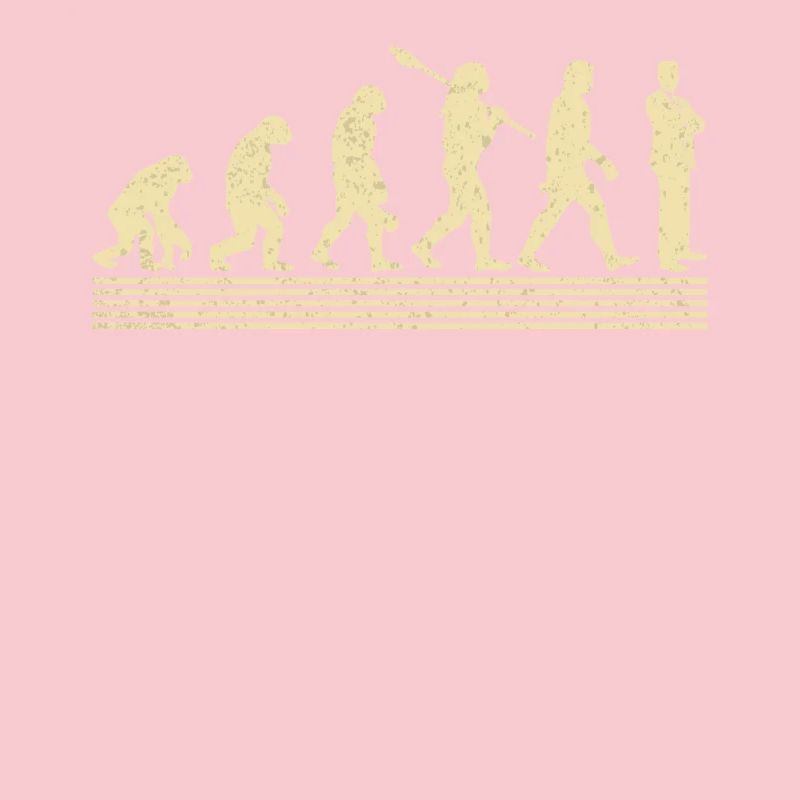 Directeur des ventes Evolution