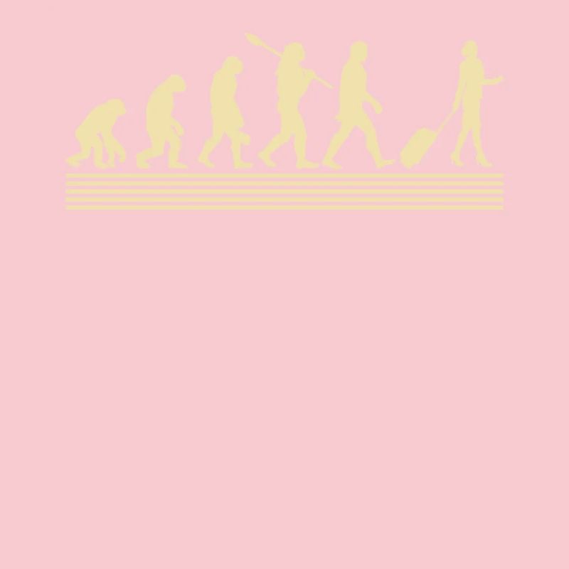 Stewardessen-evolution