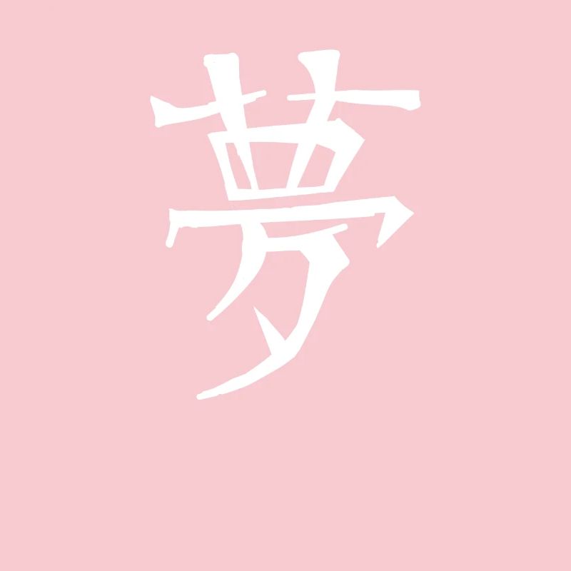 Dream Chinese Script Character Symbol