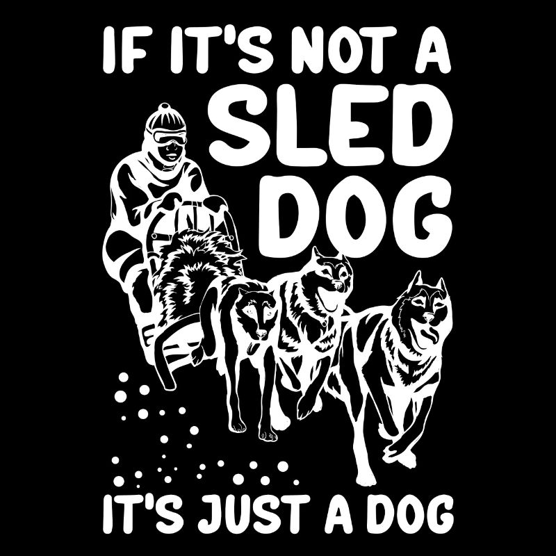 Mushing Sled Chiens Chien Sled Cadeau