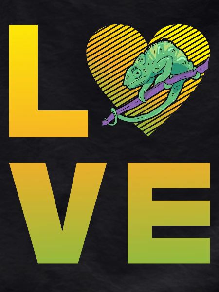 Chameleon Love