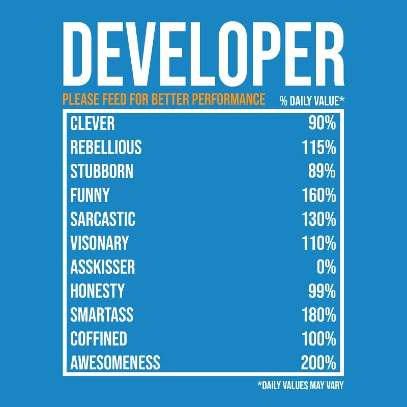 Entwickler Softwareentwickler Informatiker Coder