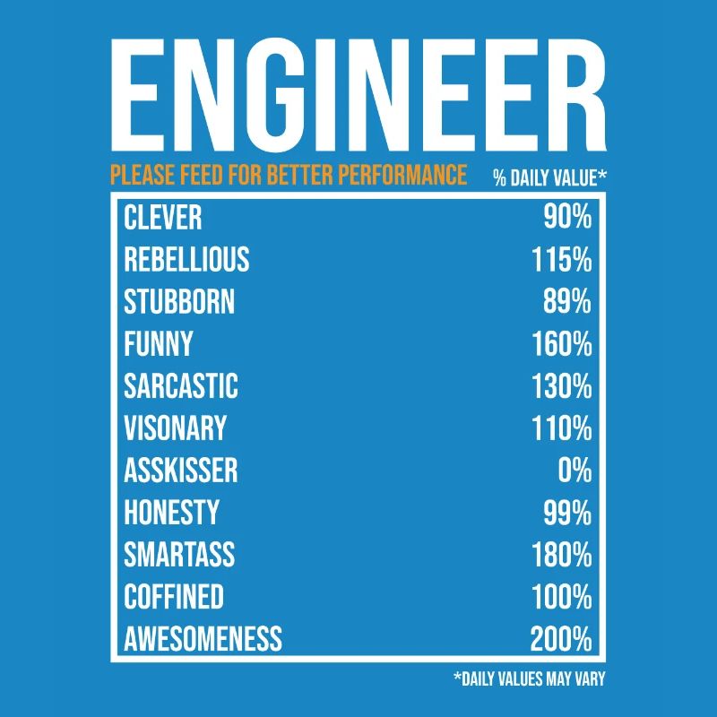 Engineer Daily Values Funny Engineer