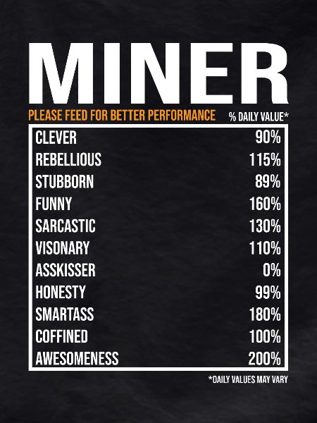 Miner Miner Buddy Mining