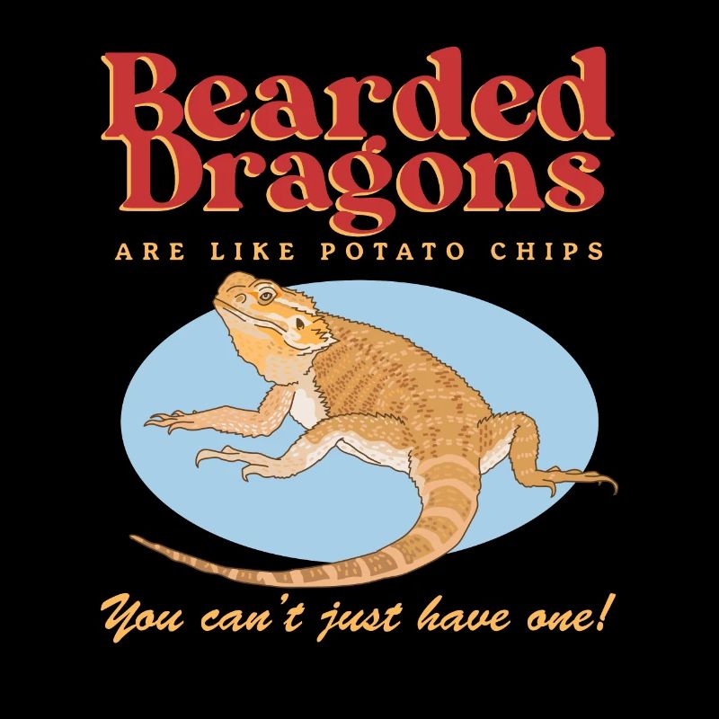 Bartagame Reptilien Bartagamen Geschenk