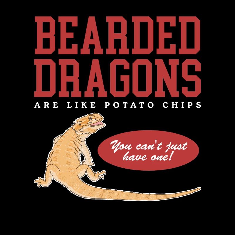 Bearded Dragon Reptiles | Bearded Dragon Gift