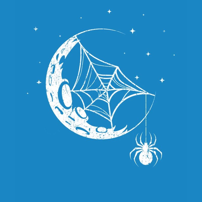 Spinne Spinnennetz