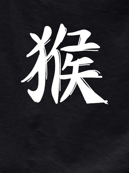 Monkey Chinese Zodiac Sign