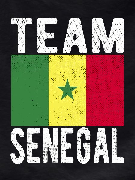 Senegal Flag