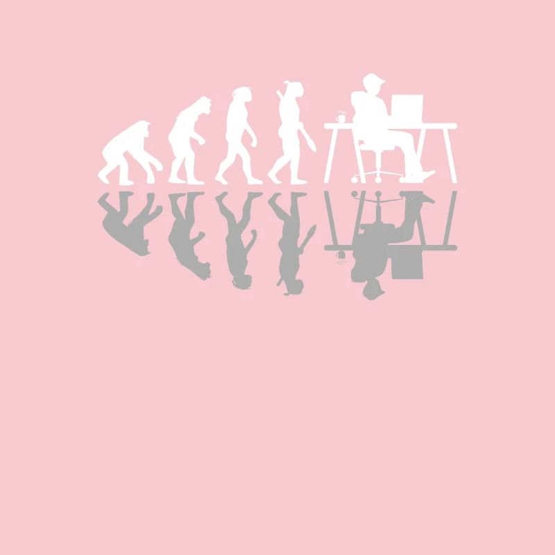 Evolution Funny Programmeur Développeur de logiciels