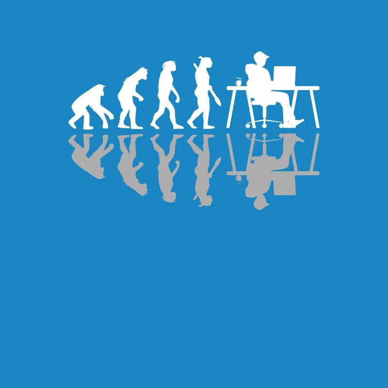 Evolution Funny Programmeur Développeur de logiciels