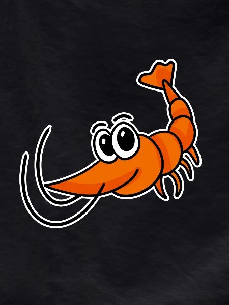 Shrimp Shrimp