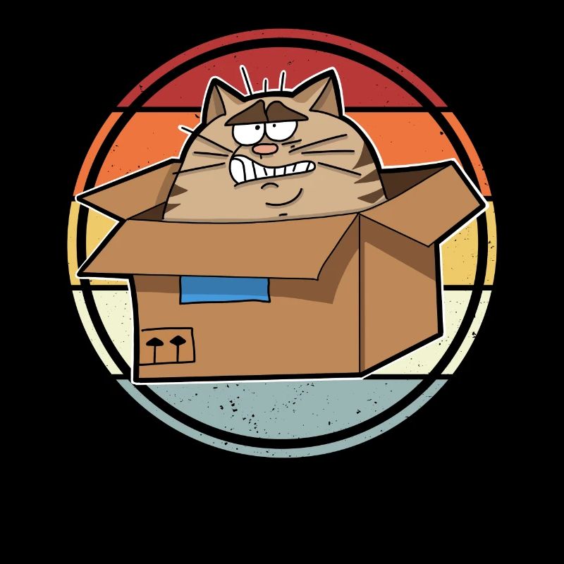 Chat dans une boîte