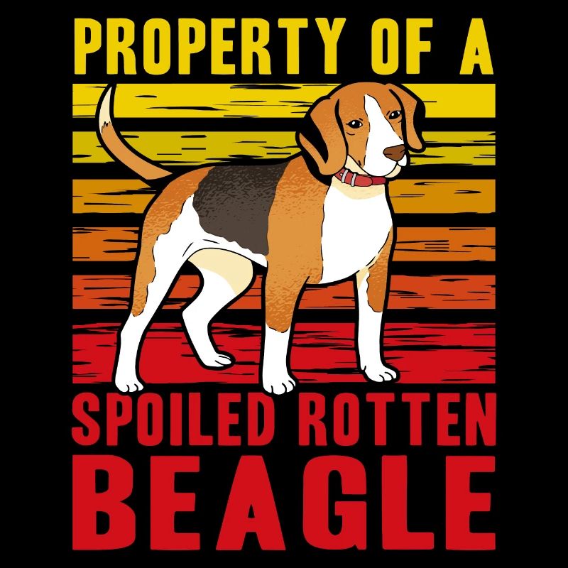 Propriété d’un Beagle pourri gâté