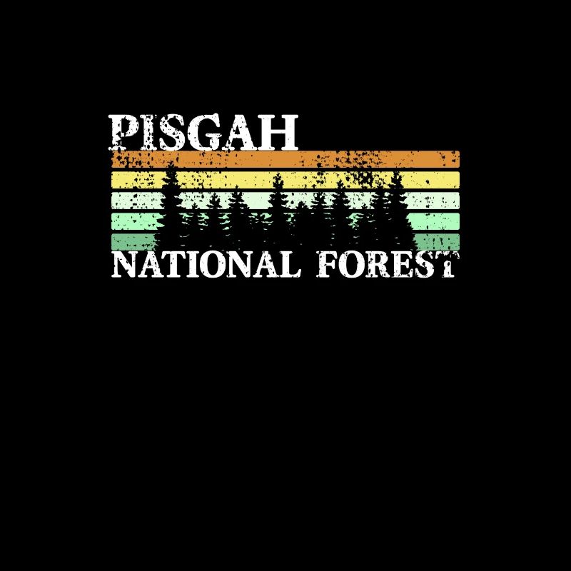 Rétro de la forêt nationale de Pisgah