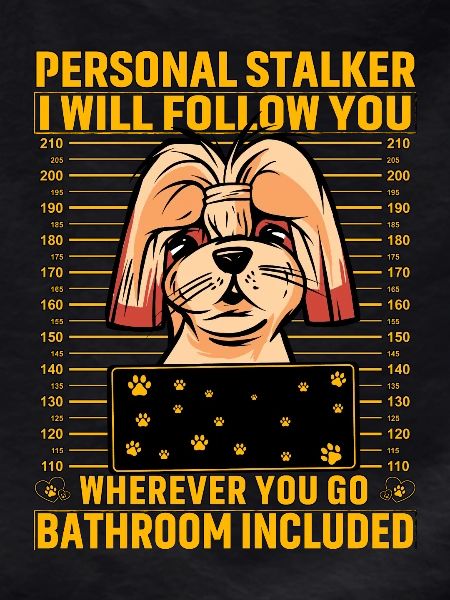 Shih Tzu Stalker