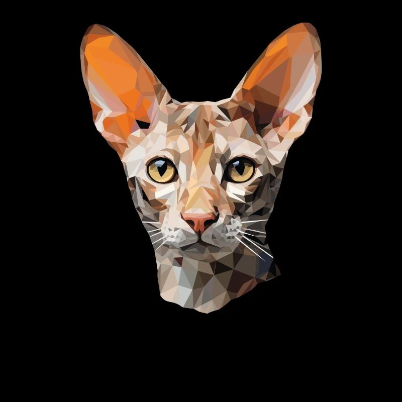 Cornish Rex Cat