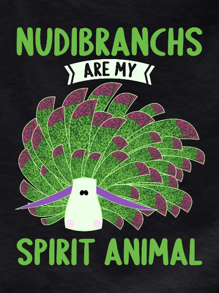 Nudibranches nudibranches