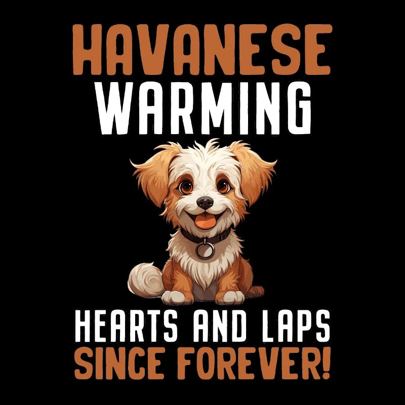 Havaneser Warming Hearts and Laps since forever