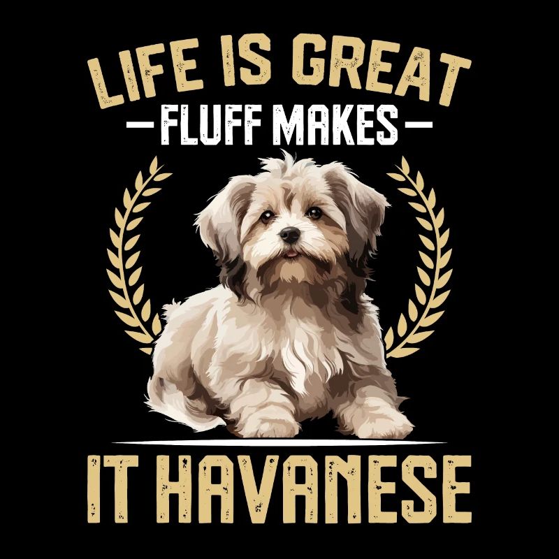 Life is great fluff makes it Havanese