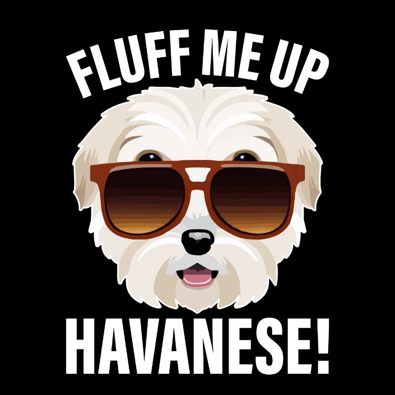 Gonflez-moi le bichon havanais