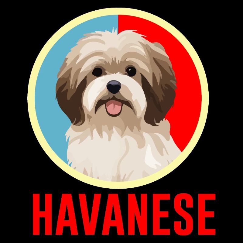 Havanese Retro