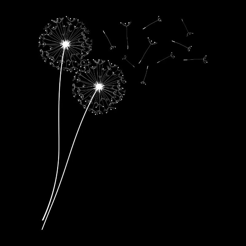 Schöne Pusteblume Löwenzahn Dandelion