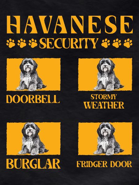 Havanese Security