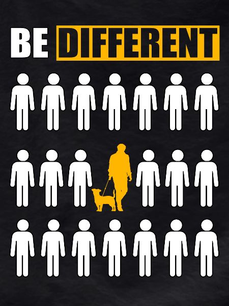 Jack Russell Be Different