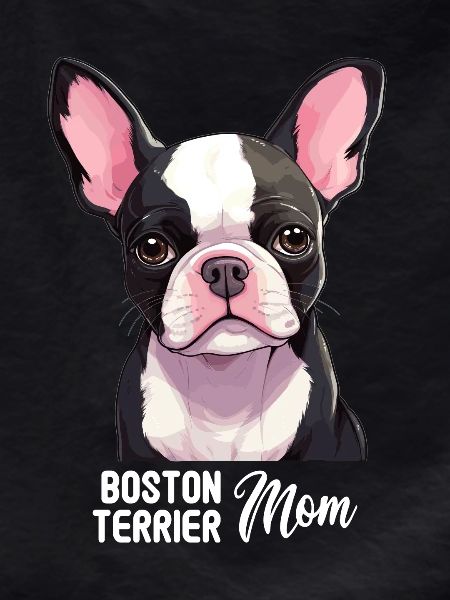 Dog Boston Terrier