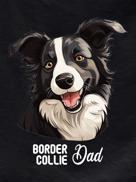 Dog Border Collie